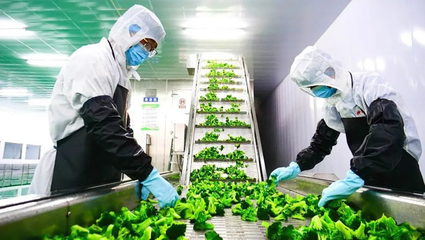 張掖市科學(xué)技術(shù)局推動種植技術(shù)開發(fā)，助力農(nóng)業(yè)現(xiàn)代化轉(zhuǎn)型