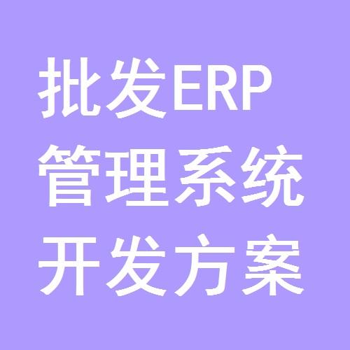 批發erp管理系統開發方案