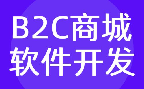 b2c商城軟件開發 b2c購物電商軟件定制公司 紅匣子科技
