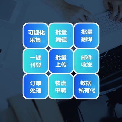 亞馬遜ERP軟件oem貼牌定制開發系統獨立部署
